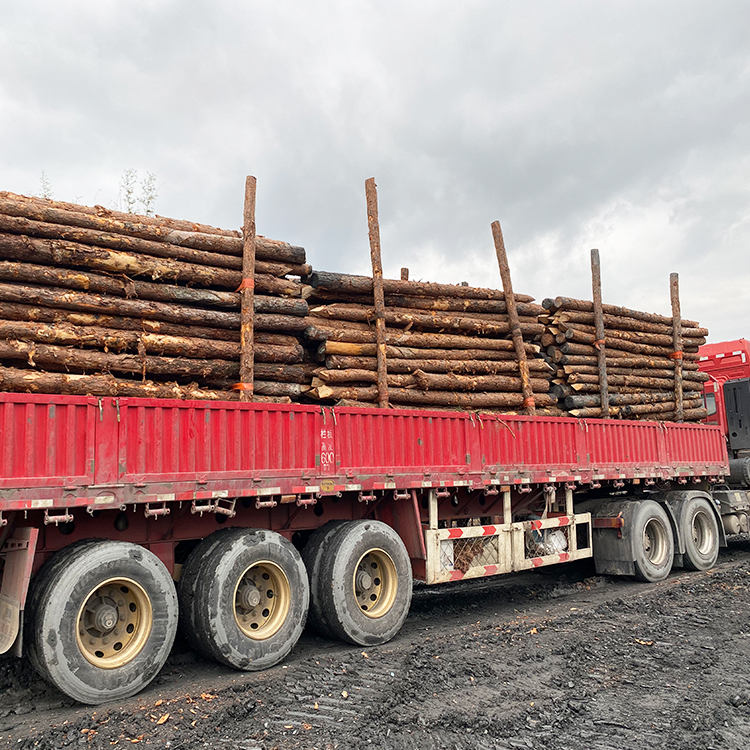 河道木樁報價:河道(6米)松木木樁多少錢一米,原木樁多少錢?