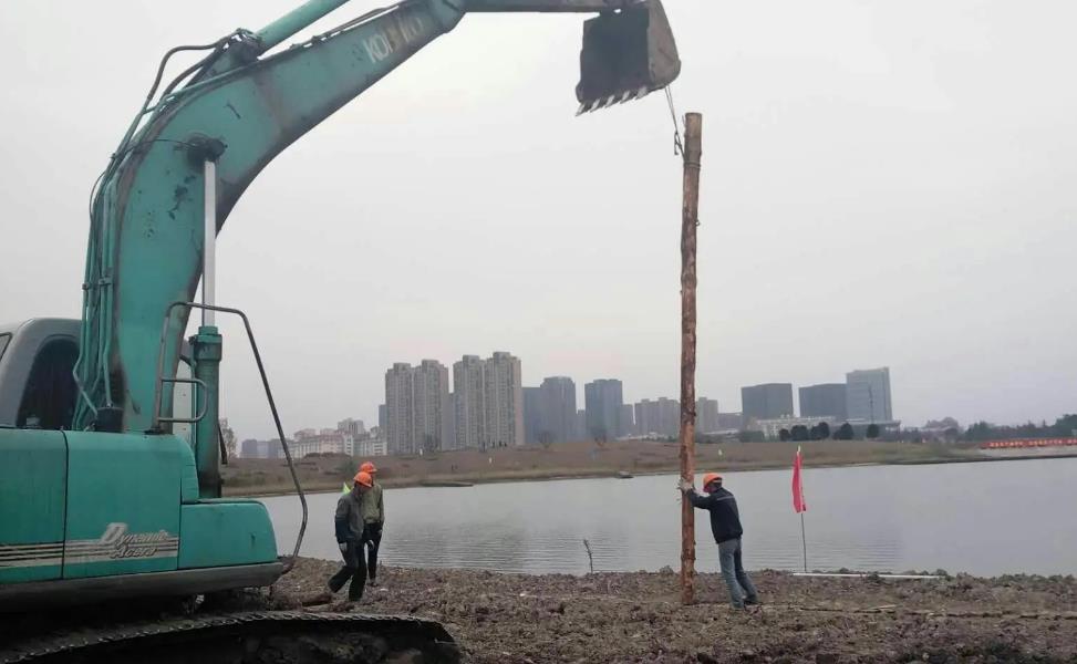 松木樁為什么要做質量驗收,松木樁施工質量驗收規范有哪些?