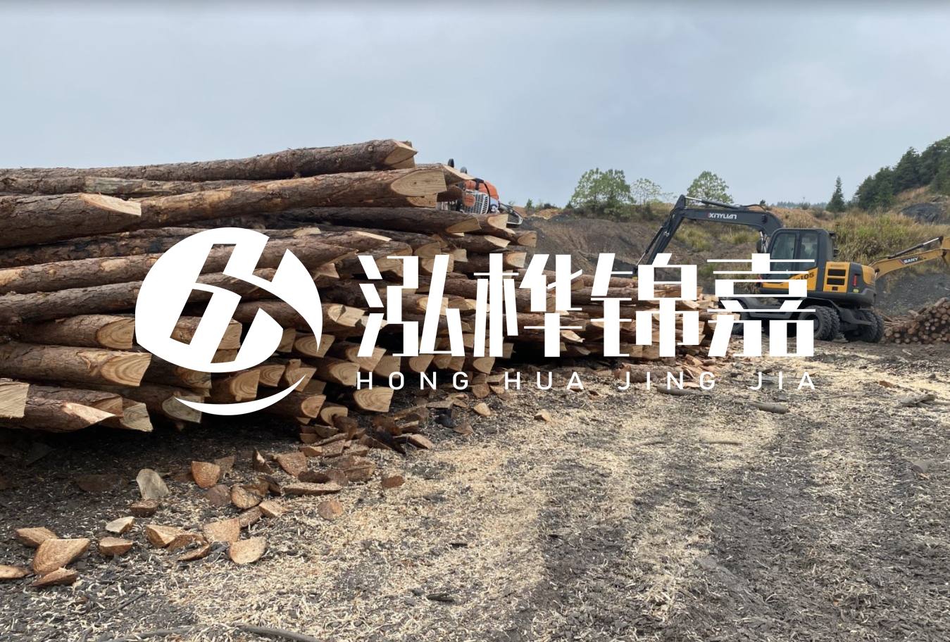 松木樁尾徑是什么意思？