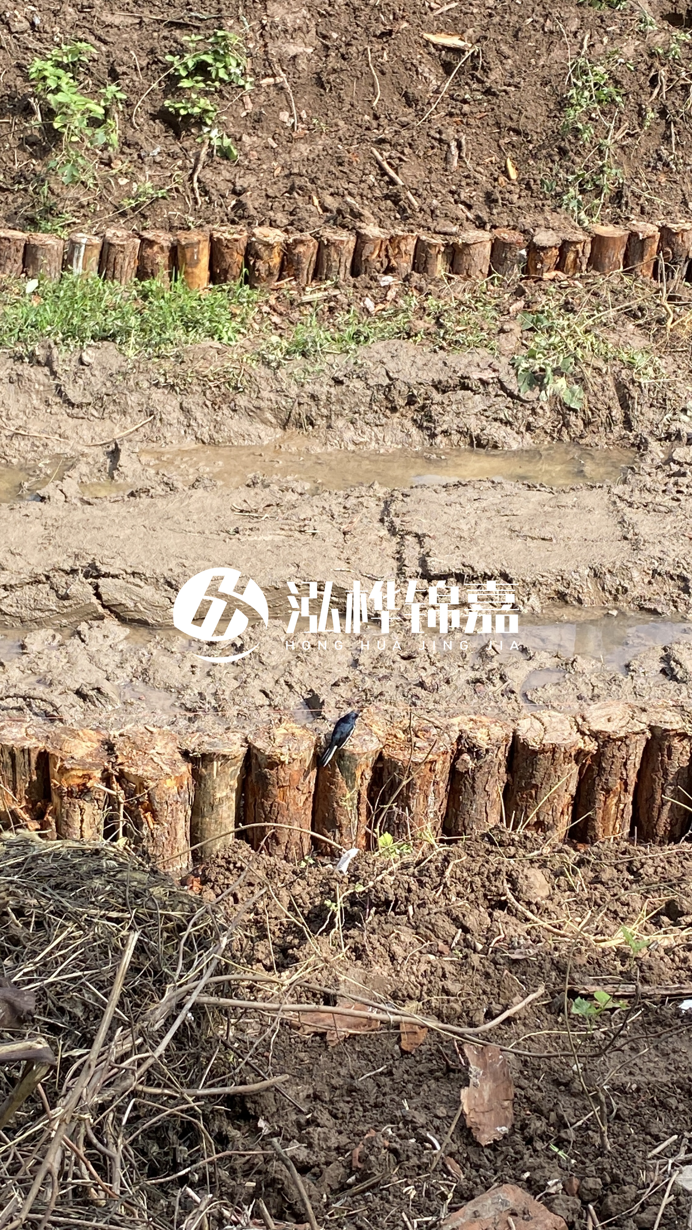 寧波河道清淤專業施工-治理河道對于老百姓有什么意義?