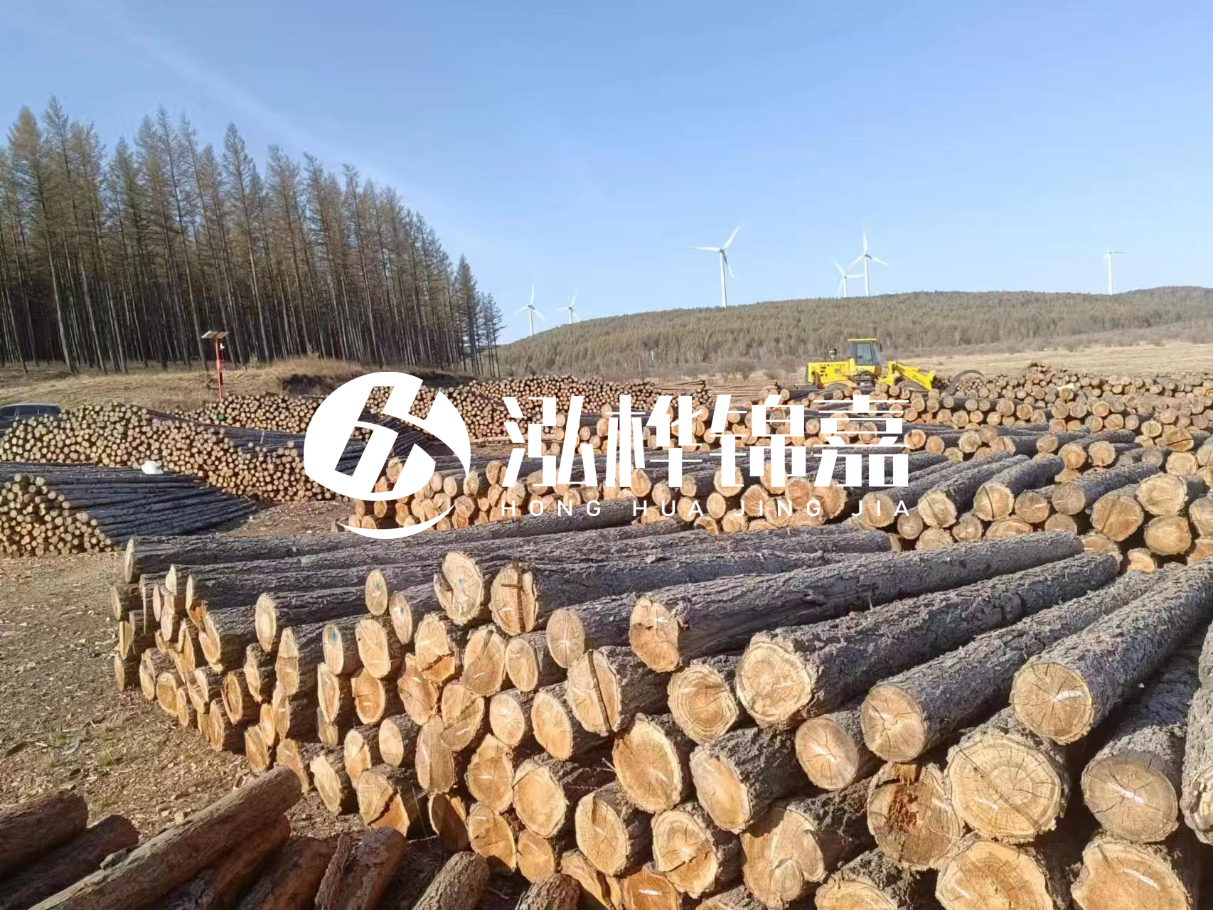 湘潭松木樁源頭廠家-松木樁與水泥樁的性?xún)r(jià)比對(duì)比如何？