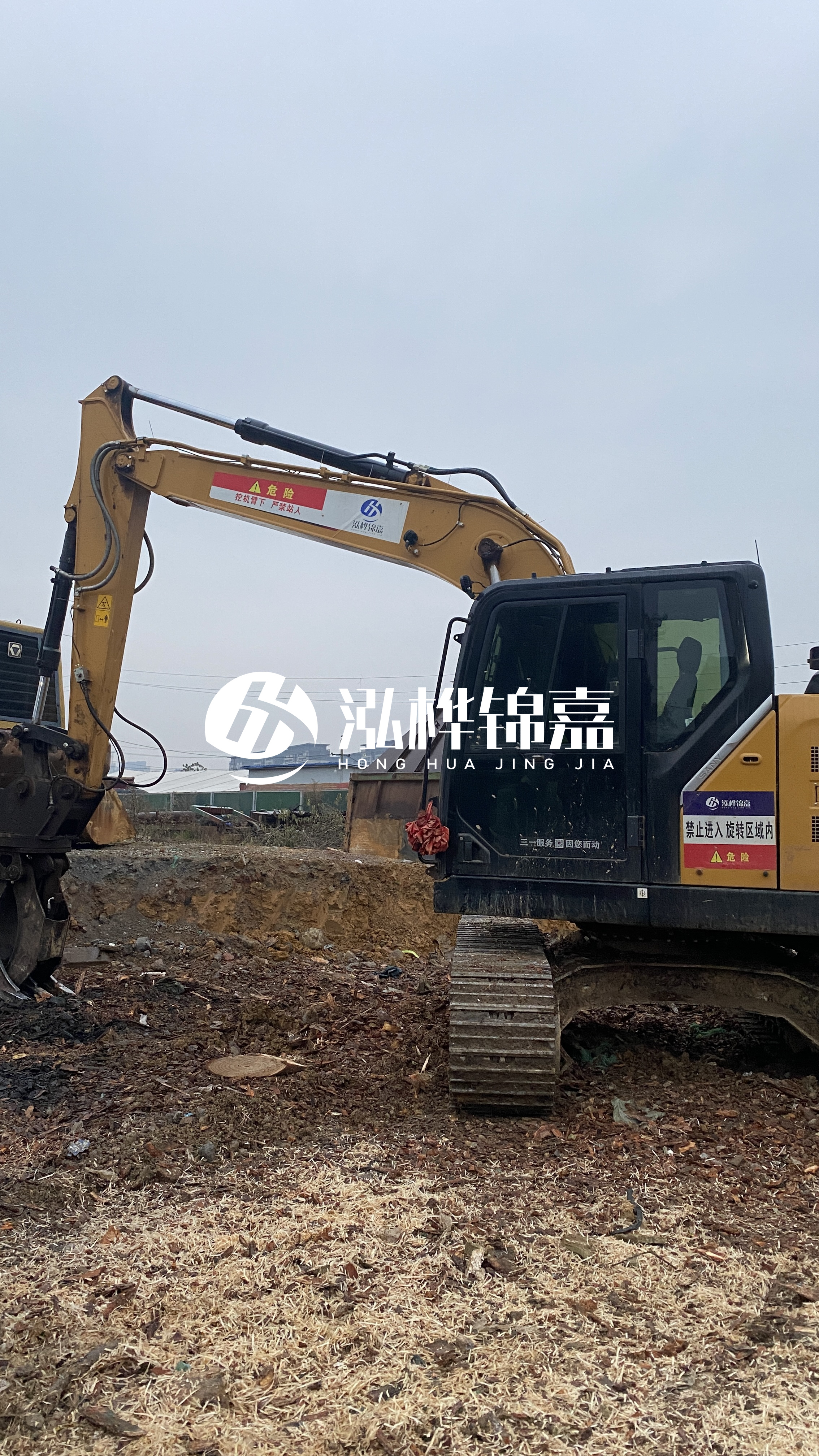 河池松木樁源頭廠家-河道木材松木樁怎么選?