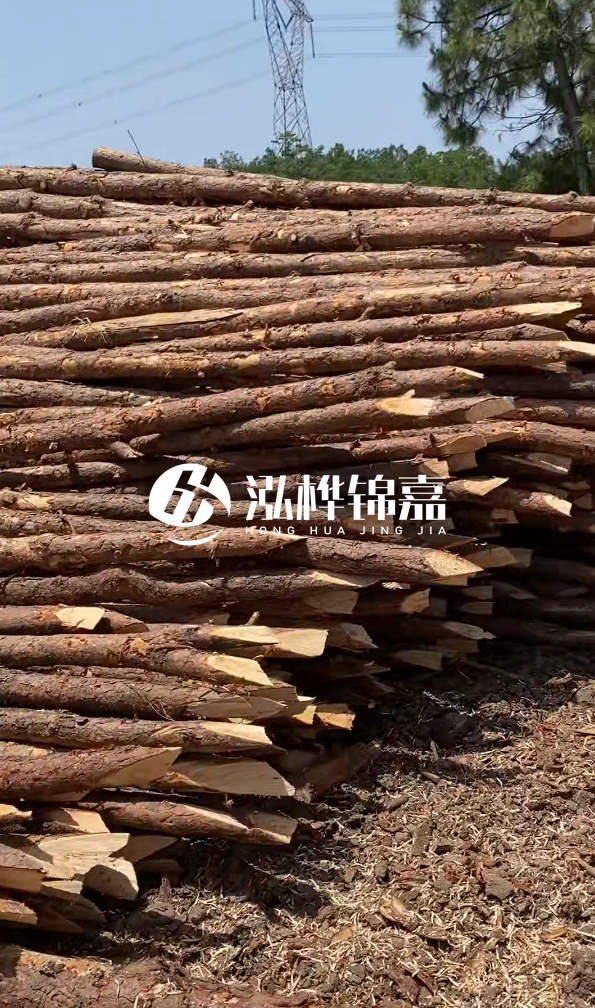 銅仁市挖機(jī)打木樁專業(yè)施工-河道松木樁水面需要預(yù)留多少?