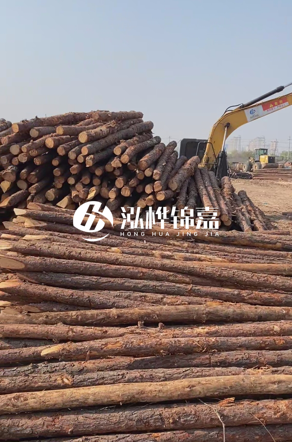 油松用于打樁木到底好不好?讓專業打樁隊告訴你!