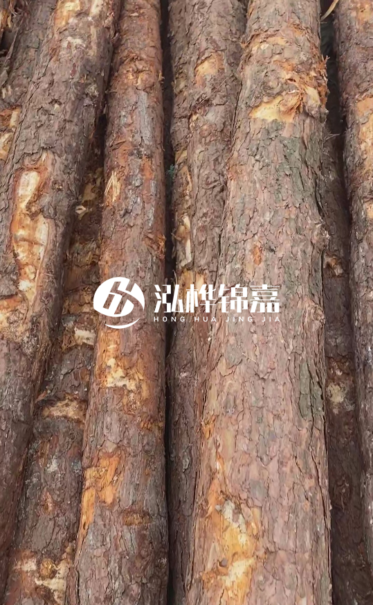 浙江地區大量供應松木樁,源頭廠家在哪里?