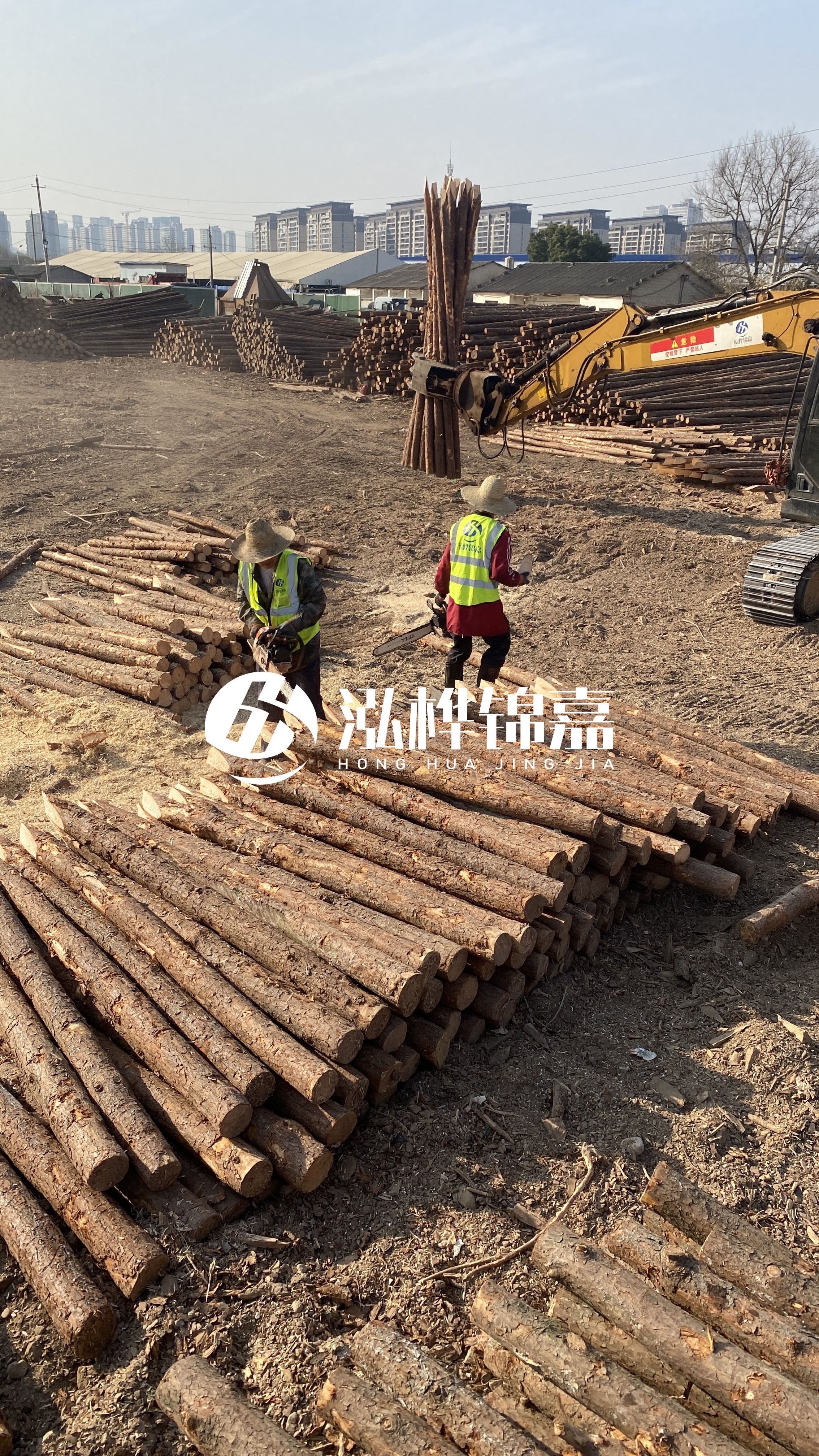 松木樁梢徑怎么測量?實用教程!一文教會你!