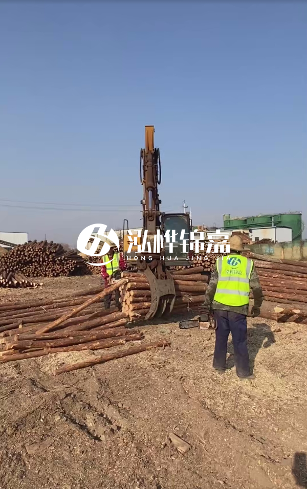 2025松木樁價(jià)格行情網(wǎng) | 實(shí)時(shí)報(bào)價(jià)/廠家直供/工程采購(gòu)指南(附價(jià)格走勢(shì)圖)