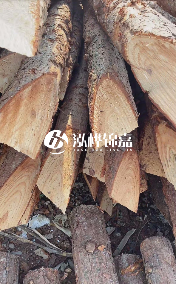 3米杉木樁梢頭12大頭多少？賣多少錢一根？