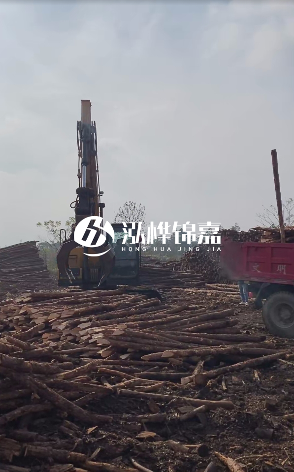 6米打樁木多少錢一根-6米10-15公分價格是多少?