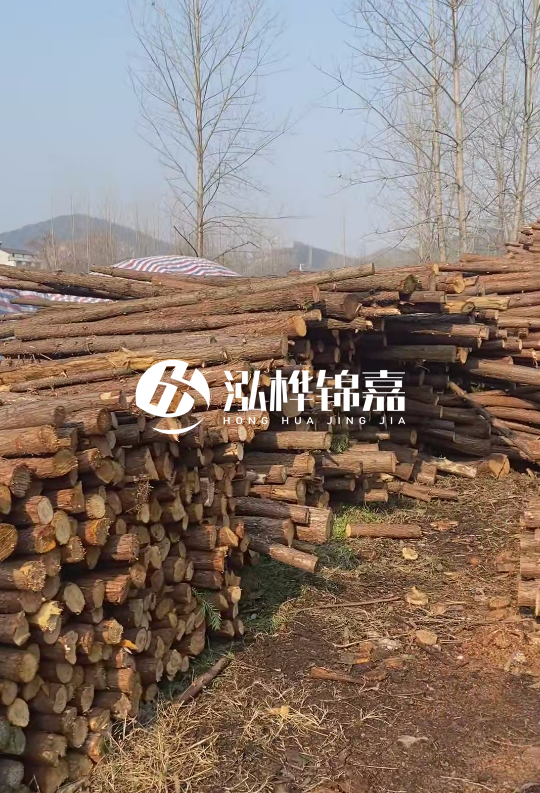 打杉木樁多少錢一根-一天能打多少根?