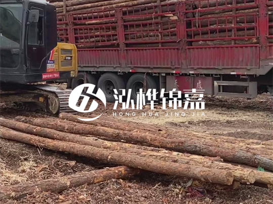 江西2米10-12松木樁多少錢一根?10-15公分價(jià)格又是多少?