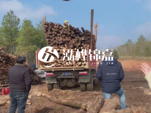 防腐木樁價(jià)格比普通木樁貴多少?防腐木樁有哪些處理方式?