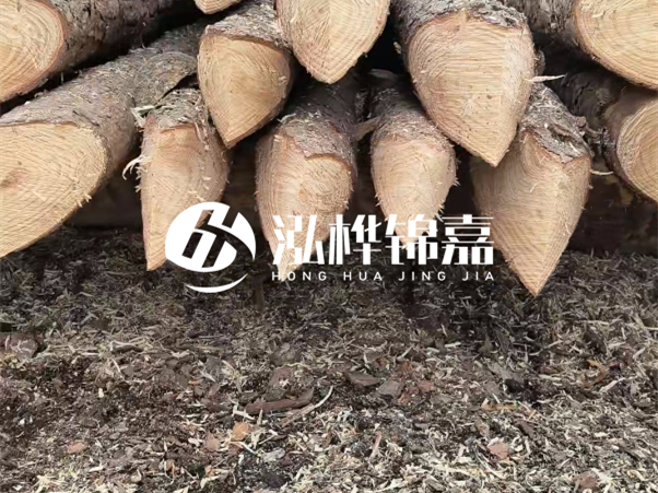 打樁木樁與鋼樁相比有哪些優缺點?如何進行后期維護?