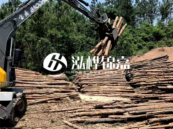 3米松木樁小頭10公分多少錢一根?大頭10公分又是多少錢?