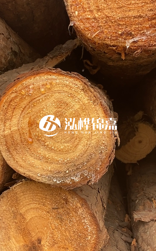 江西打樁木源頭廠家泓樺錦嘉-4米松木樁頭徑18cm多少錢?