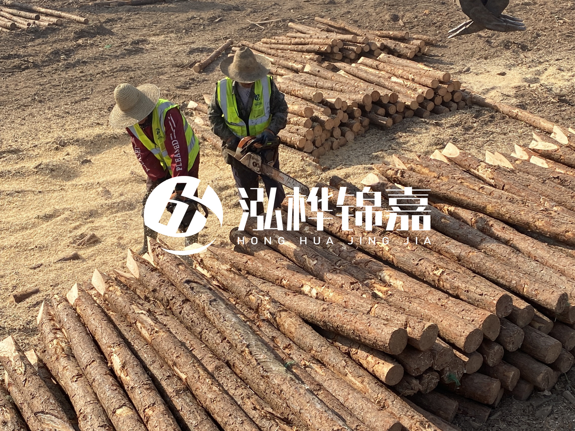 河北打樁木廠家主要生產(chǎn)哪些材質(zhì)的打樁木?產(chǎn)品有哪些規(guī)格?