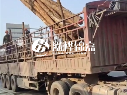 4米長杉木10公分價格-4.5米直徑15cm 杉木多少錢?