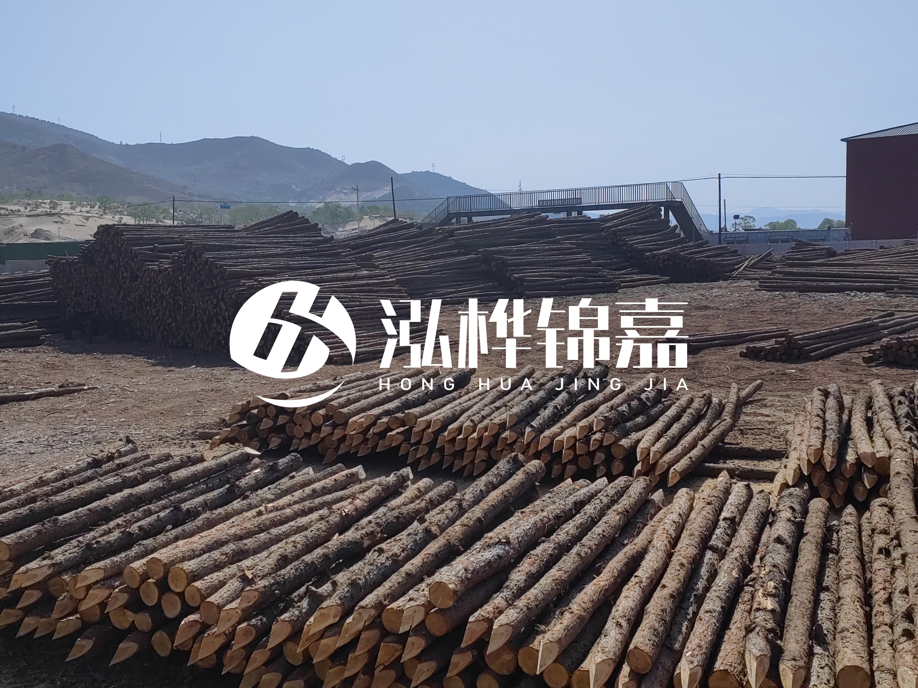 江蘇打樁木源頭廠家泓樺錦嘉-4米打樁木大頭14-16小頭一般多少?