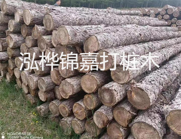 高效修補，保駕護航！水泥路面高強度修補料為您解決煩惱！